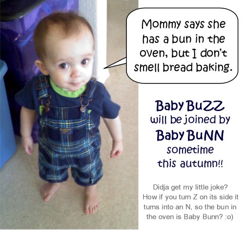 Announcing Baby Bunn!