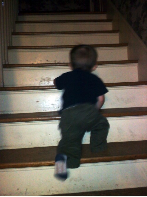 Lil Buzz - 3rd gen learning on stairs