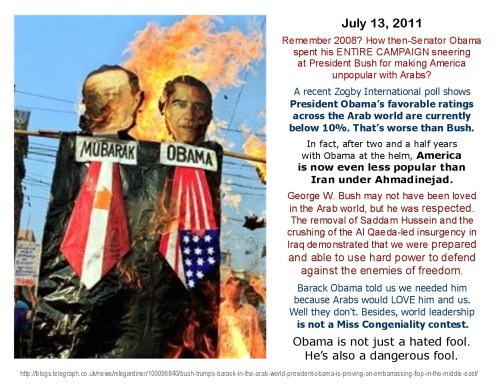 2011_07 Nine out of 10 Arabs say NO to BHO