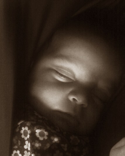 2012_01 17 Sleeping Bunny - sepia