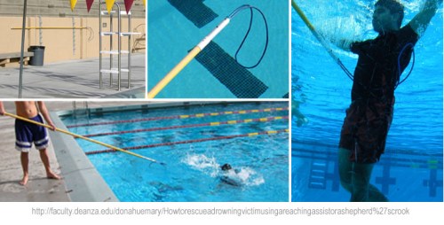 Shepherd's crook rescue graphic