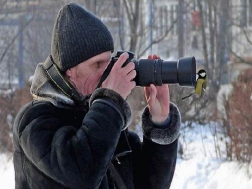 Bird looking in lens