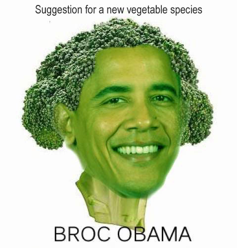 Broc obama