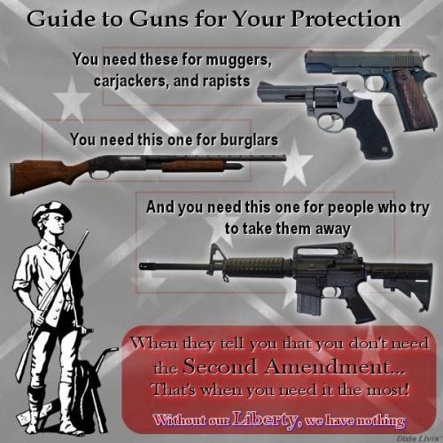 gun guide
