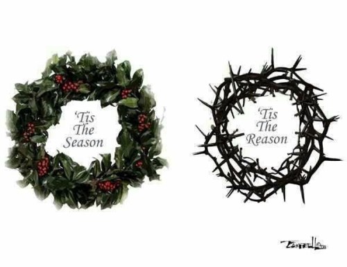 Tis the season Tis the reason
