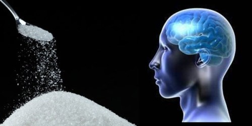 Your brain on sugar
