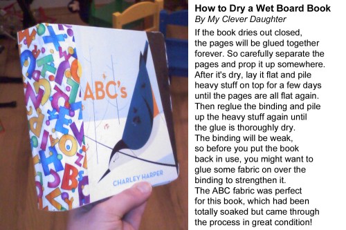 2013_01 16 Drying a wet board book