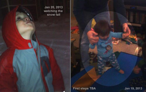 2013_01 19-20 Mascot update