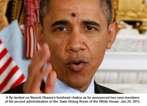 2013_01 23 Fly on Obama's forehead chakra