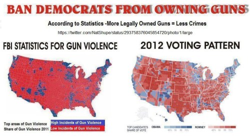 Ban Democrats from owning guns