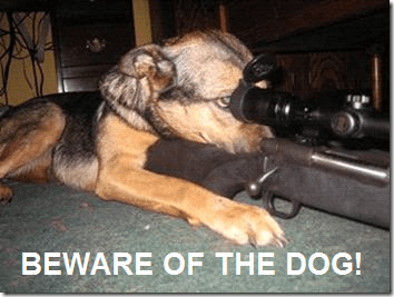 BEWARE OF THE DOG