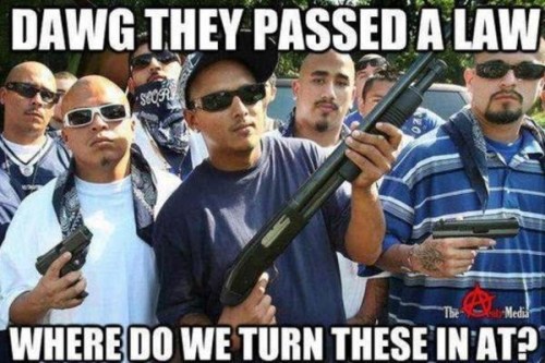 Dawg they passed a law