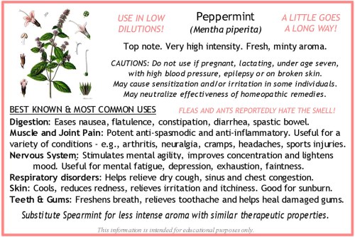 Peppermint