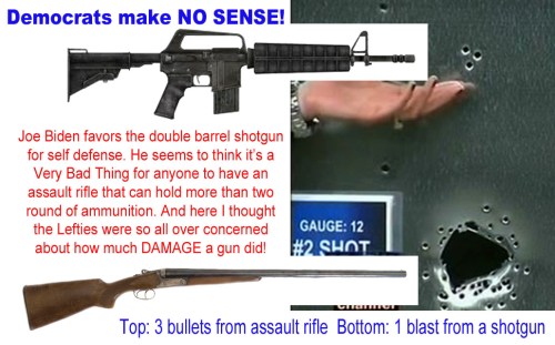 Assault rifle vs Shotgun