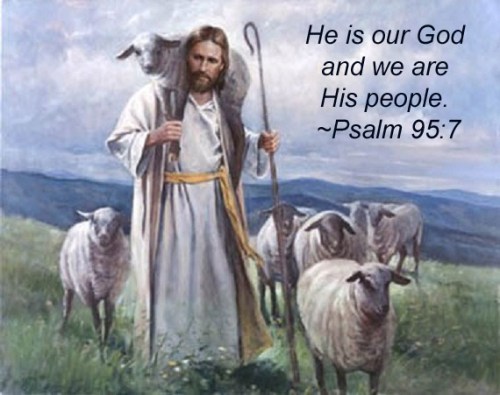 Good shepherd