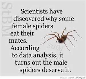 MAN WOMAN Spiders