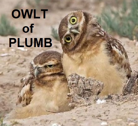 OWLT of PLUMB