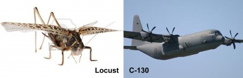 C-130 like locust