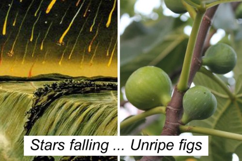 Stars falling v Unripe figs