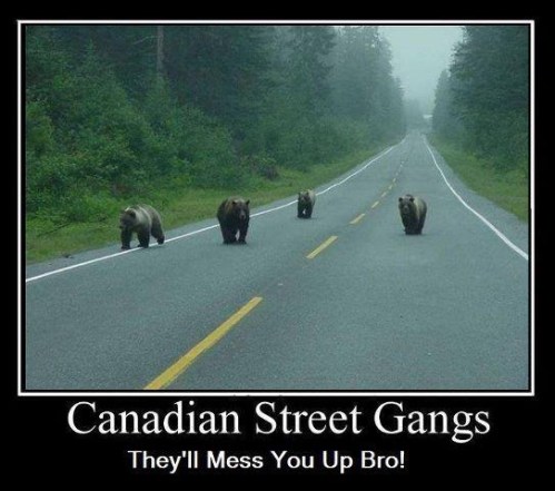Canadian Street Gangs