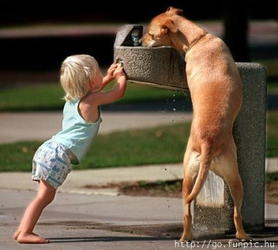 DOG BABY Kid and dog get a drink