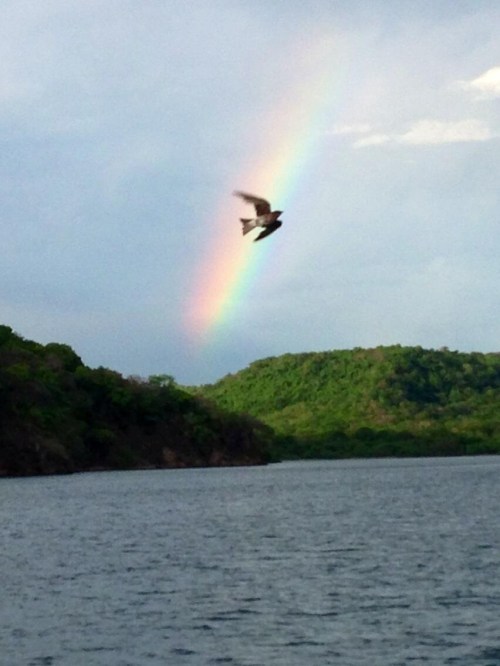 2013_06 12 Perfect timing by Kellie Pickler - NOT photoshopped