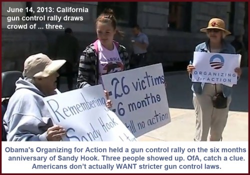 2013_06 14 OfA gun control rally a bust