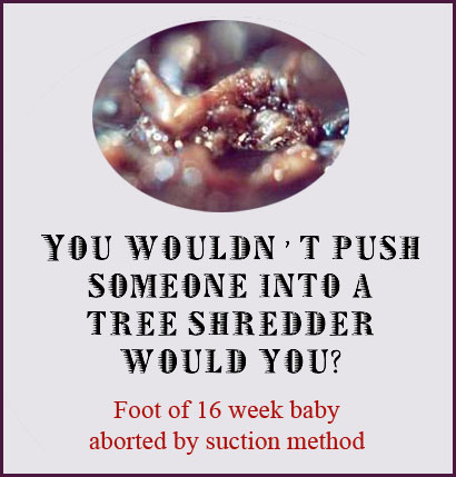 Abortion tree shredder