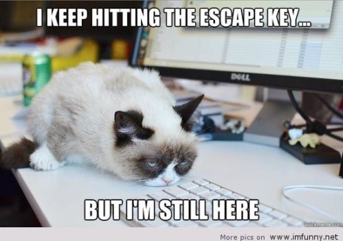 CAT escape key