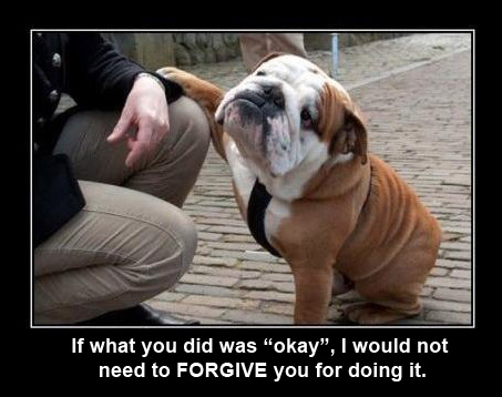 DOG Not okay, forgive