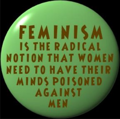 Feminism is the notion