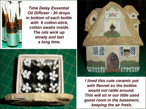 2013_07 11 Time delay ess oil diffuser