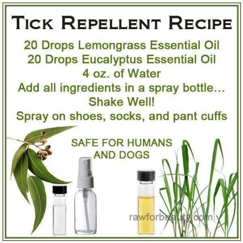 Tick Repellent