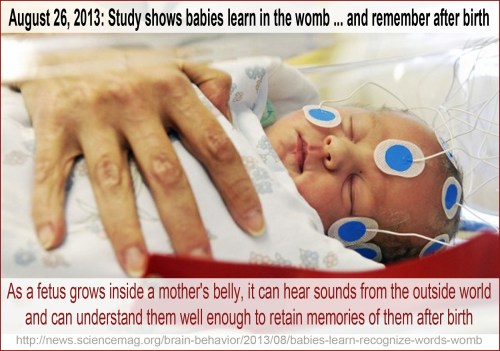 2013_08 Babies learn before birth