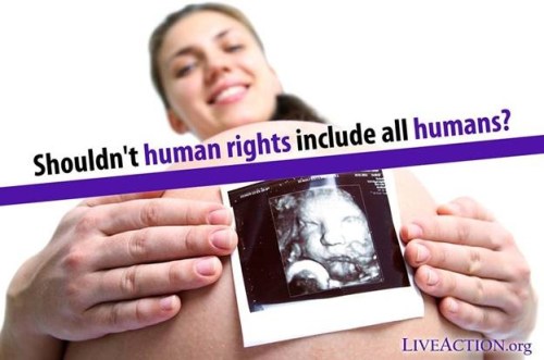 Human Rights should include all humans