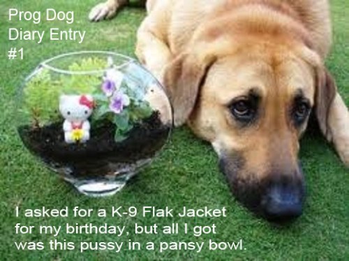 Prog Dog Diary #1