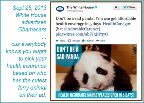 2013_09 25 WH Sad Panda Obamacare ad