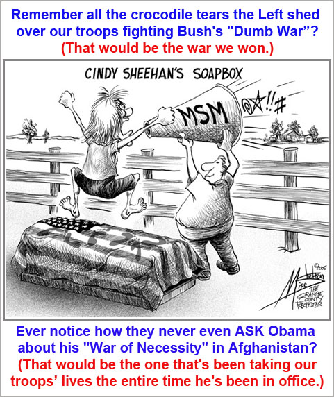 Cindy Sheehan's soapbox