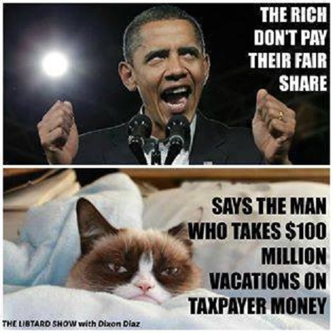 Obama and Grumpy Cat