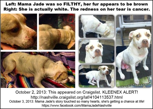 2013_10 03 Mama Jade