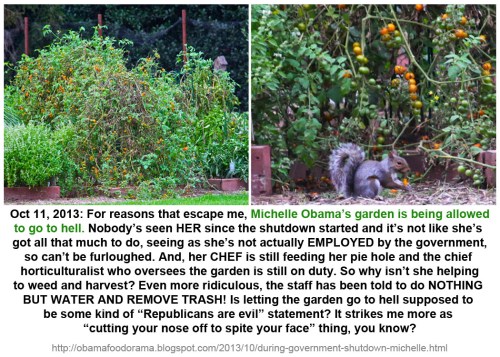 2013_10 11 Mooch's garden going to hell