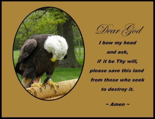 Dear God - eagle prayer