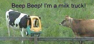 Halloween COW I'm a milk truck