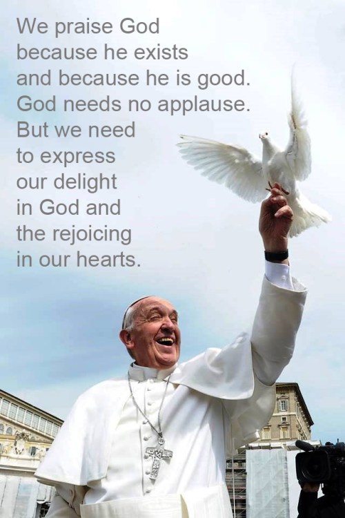 Pope Francis releases dove