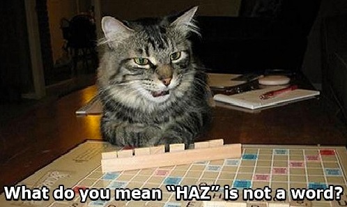 SCRABBLE CAT Haz is not a word