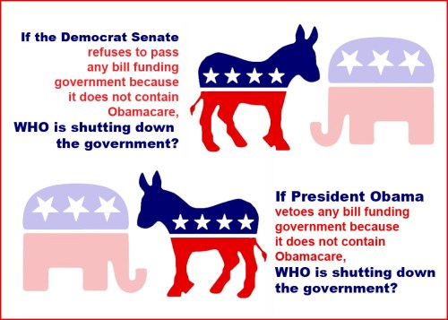 Who is shutting down government