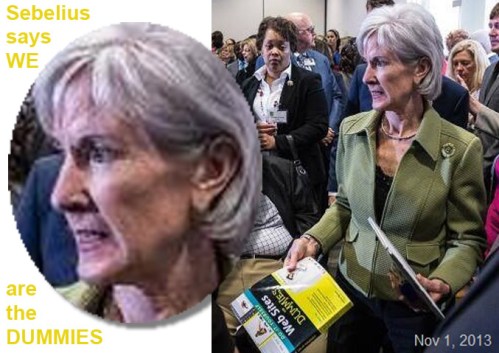 2013_11 01 Sebelius and Web Sites for DUMMIES