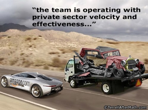 2013_12 05 Ocare website by Terrell