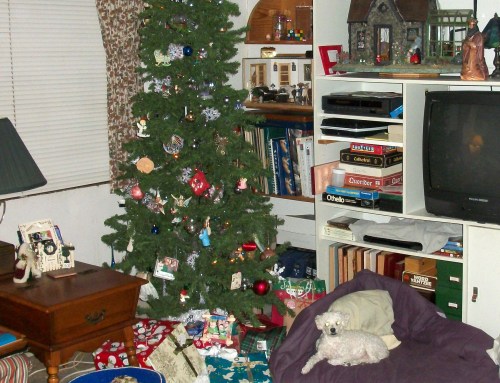 2014_01 02 Dewey guards presies