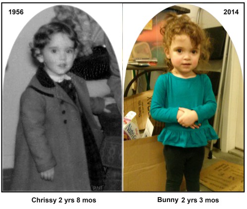 2014_01 22 Bunny next to pic of me